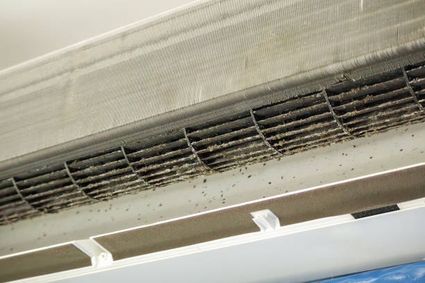 Best HVAC Air Duct Cleaning  in Greenwood, PA